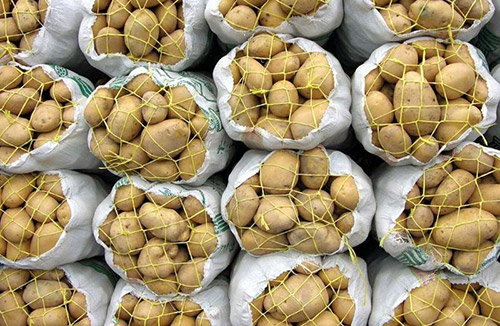 سورتینگ و بسته‌بندی سیب‌زمینی, بسته‌بندی, صادرات محصولات کشاورزی,  تعاون روستایی استان اردبیل