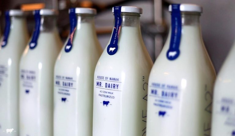 بطری‌های شیشه‌ای بهتر از بقیه بسته‌بندی‌ها طعم شیر را حفظ می‌کنند