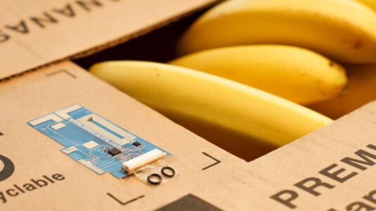 هوشمند و پایدار: آیا بسته‌بندی می‌تواند هر دو باشد؟