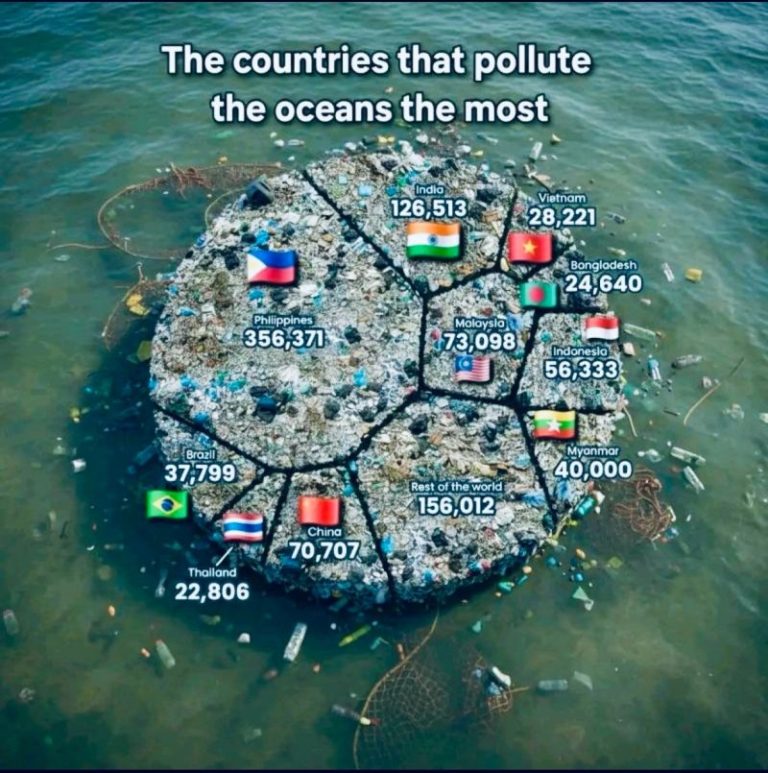 ميكروپلاستيك ها: الودگي نامرئي كه دور و بر ما را فرا گرفته است