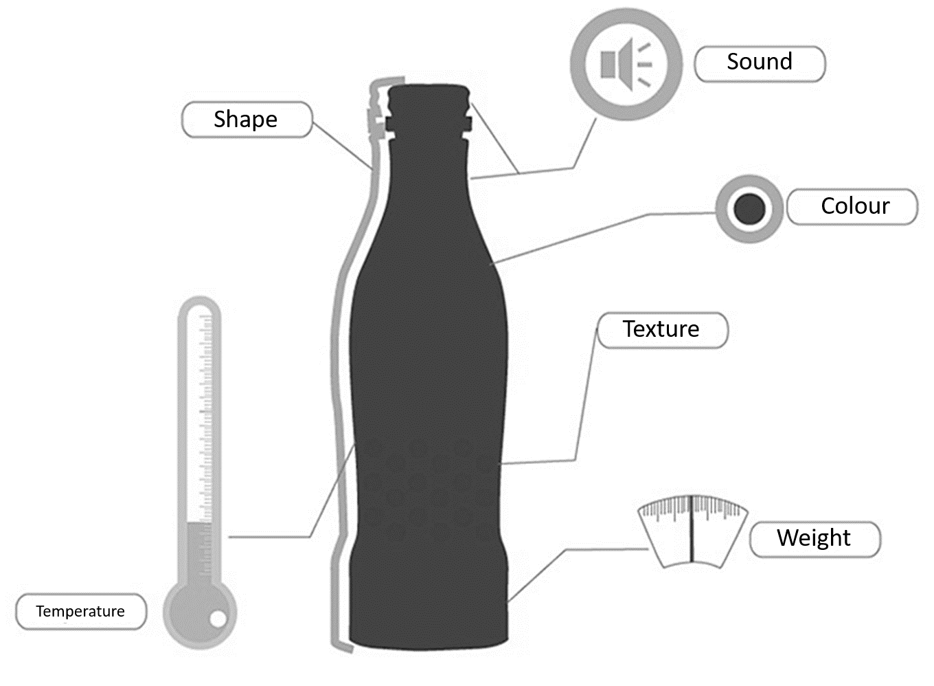 بسته‌بندی‌های چندحسی